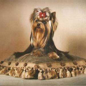 Meet your Posher, Madelyn